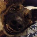 Brian Gilson - @BGilson - Twitter