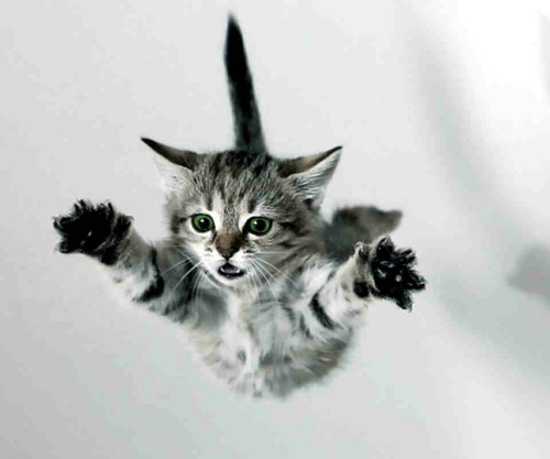 Bobbyen02's profile picture. 