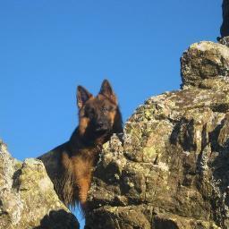 MarijoBulat's profile picture. 