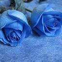 Elvira Miranda - @ElviraMiranda93 - Twitter