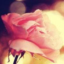 Elisa Kramer - @KramerElisa - Twitter