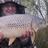 shaun_ranson's profile image