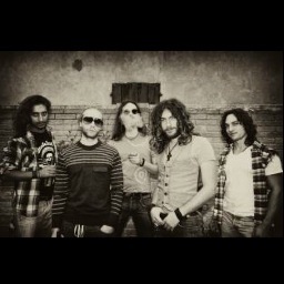 wildpipes's profile picture. 