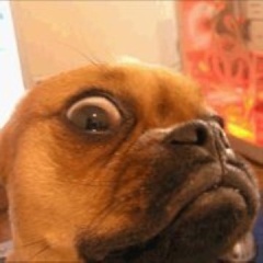 floranceagpg's profile picture. HIPHOP RECORDING ARTIS, RECORD PRODUCER, RECORDING ENGINEER & CEO/FOUNDER OF #TEAMILLY NETWORKING WIT #TFB & #TEAMIDONTGIVEAFUCK #TW #TOPSHELF #TEAMIPHONE