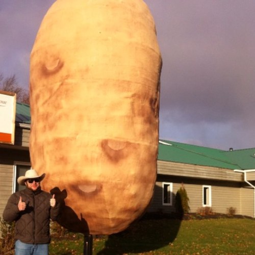 skwineguy's profile picture. A proud Saskatchewanian exploring the world one glass at a time
