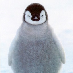 You can call me flippers. Watch out for those polar bears !