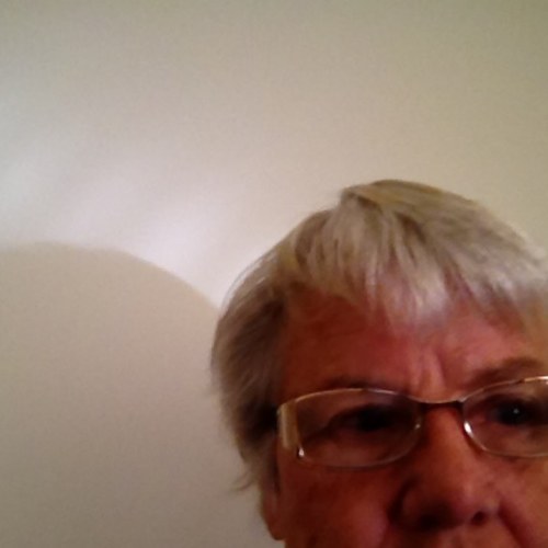 pphrog's profile picture. 