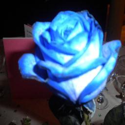 mariarosehealy's profile picture. Yorkshire lass making my way in the big smoke. I've been known to raise a few pounds for charity and dabble in running. Tweets my own