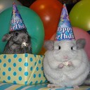 Aisha Nolan - @Ohsnapitsmari - Twitter