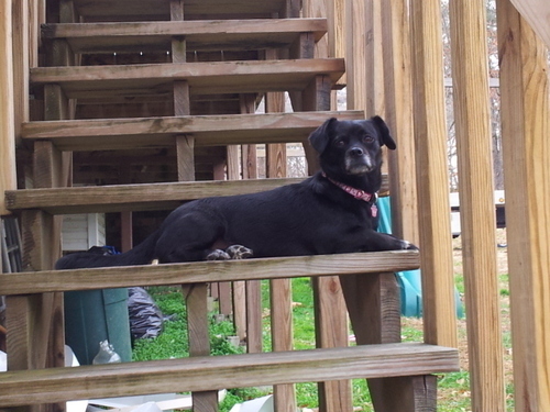 ball4life05's profile picture. 