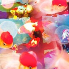 cafe巡り/写真/洋画/間接照明/文学/就活/広告/商社一般志望