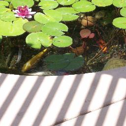 RindyO1's profile picture. 