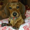 Isabelle Riley (Ashe) - @IsabelleAshe - Twitter