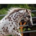 darrian lee copus - @darriancopus1 - Twitter