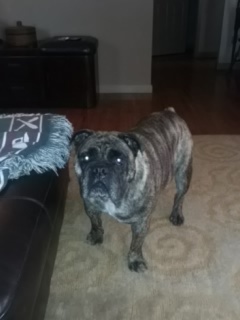 dancanfield1's profile picture. 