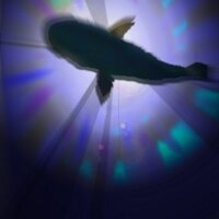 Satoshi Saitou (@sasaitou) 's Twitter Profile