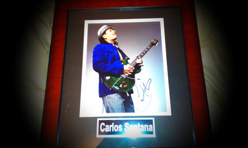 GambleRiley's profile picture. Come at me bro