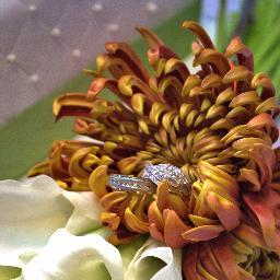 CuretonKreation's profile picture. Its all about the details! Bridal, Wedding, Engagements & more. LIKE us at http://t.co/Rci5KqiBMe
