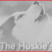Huskie Howl (@huskiehowl) 's Twitter Profile