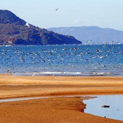 Dr Mizuno 大学生の恋愛 どこまで許されるの 探り探りは楽しいけれど 大学生の知りたいが分かるブログ Http T Co 5bvsmkk1zj