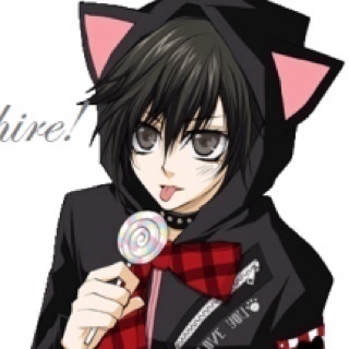 A wandering neko. I'm quite different from our notorious stereotype ones. How can I entertain you~?