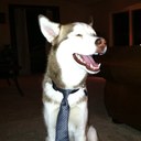 Don Fuller - @fuller_don - Twitter