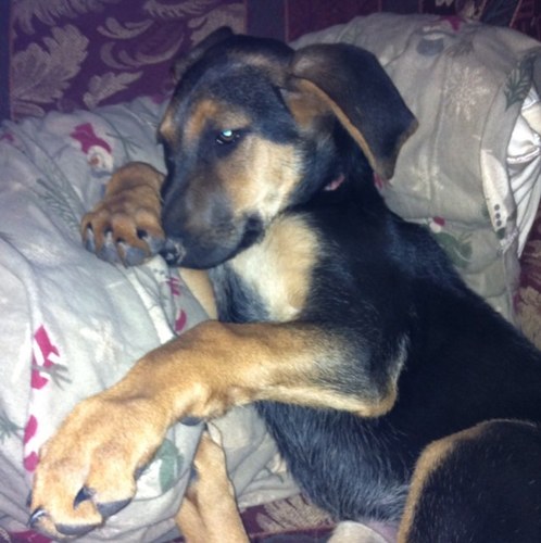 RebeccaPierson7's profile picture. 