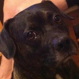 onthgo247's profile picture. 