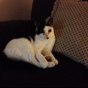 Vanessa Bonner - @bonner_vanessa - Twitter