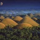 Maria McCann - @wildflower1956 - Twitter