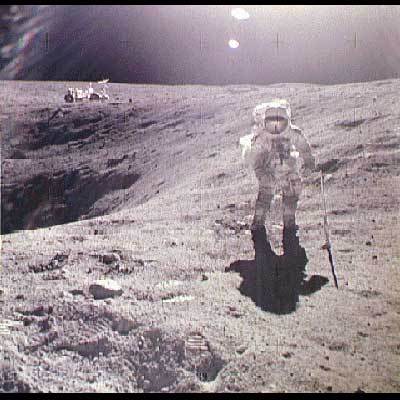 wterceiro's profile picture. IT Manager/SAP Insurance Specialist