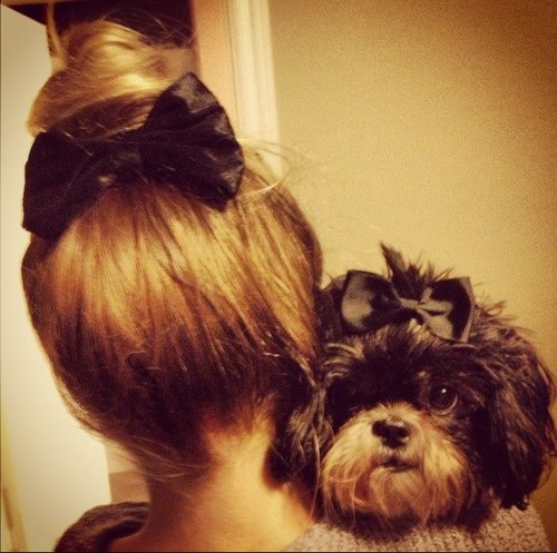 KendraLedwez's profile picture. We are the makers of music and the dreamers of dreams - Willy Wonka