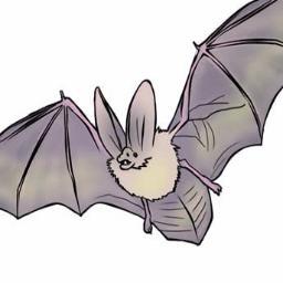 Battyfemale's profile picture. 