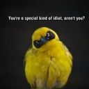 Julia Mattingly - @jazzyjem52 - Twitter