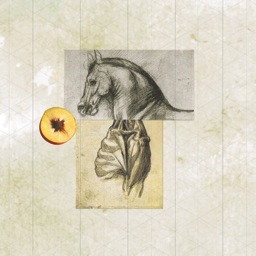 C_O_T_P's profile picture. 