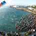 WP-Multisports (@wpmultisports) Twitter profile photo
