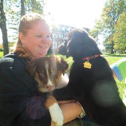 gingermarrrrg's profile picture. When history repeats itself, I am getting a dinosuave. #notamistake