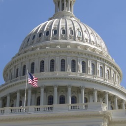Professional Capitol tour bullshitter, form letter robot, and office slave #Merica #hillternproblems