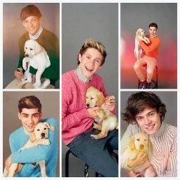 morethannthis's profile picture. heellooo! i follow back :) #aussie #directioner #followme #onedirection