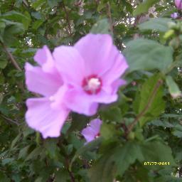 AlessandraET's profile picture. Less dramatic than it sounds