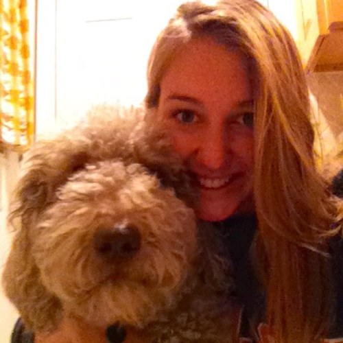 Shawn Hannah on Twitter "Currently spending my day pulling data off of