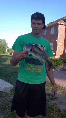 ShredTheNar_1's profile picture. 