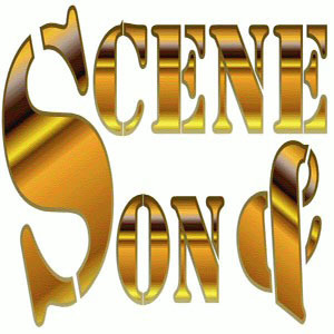 scene_et_son's profile picture. Prestations en sonorisation, éclairage et vidéo