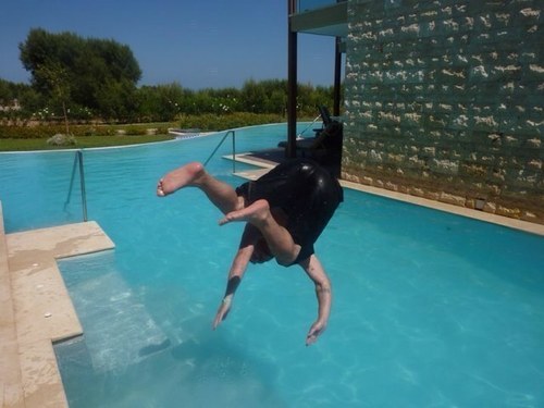 ndersandersson's profile picture. 