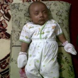 AlitSurachman's profile picture. 