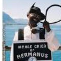 Hear about where to eat, play & stay, we might even give you little tips, news, events, specials & facts to keep you coming back -we are more than just whales!