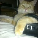 jayne shepherd - @jaynesmells - Twitter