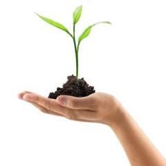 Van Houten & partners | MVO | Maatschappelijk Verantwoord Ondernemen | 010 - 268 00 65 |