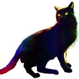 Fable_Yasin's profile picture. psssst.. i'm Fable Yasin! Other twitter @ObeyYasin