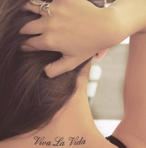 noshameprobz's profile picture. 